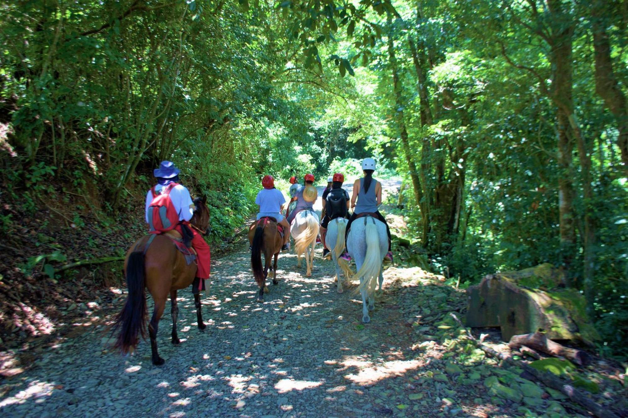 Adventure Park & Hotel Vista Golfo Tajo Alto ภายนอก รูปภาพ